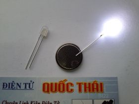 LED OVAL TRẮNG 